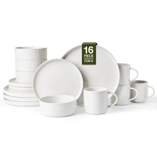 Famiware Nebula 16-Piece Stoneware Dinnerware Set with Mugs