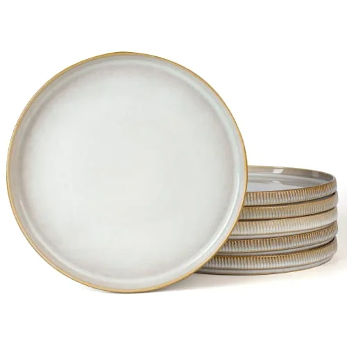 Famiware Star 10/8 inches Dinner Plates Set for 6, 6-piece